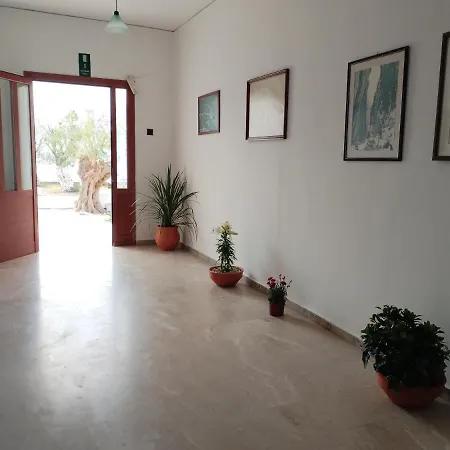 Hotel Zorbas *
